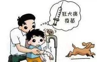 最新狂犬病發(fā)作視頻，理解與應(yīng)對(duì)的挑戰(zhàn)