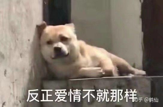 微信最新表情包含義，探索表情背后的故事與情感表達