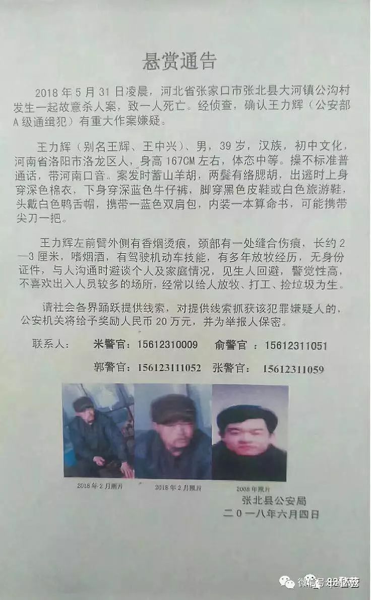 網(wǎng)上最新通緝犯名單，社會安全的警鐘長鳴