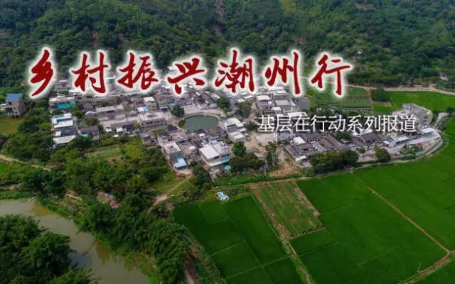牧馬鎮(zhèn)蓮花村最新規(guī)劃，鄉(xiāng)村振興的藍(lán)圖展望