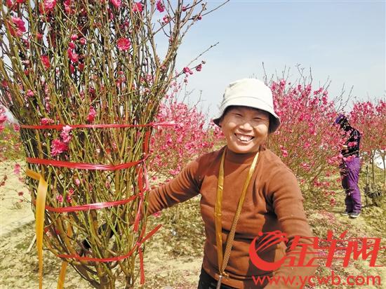桃花族最新潮流，探索時代前沿的浪漫風情