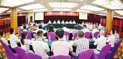澳門王中王100的資料論壇，深入解析與落實(shí)的探討