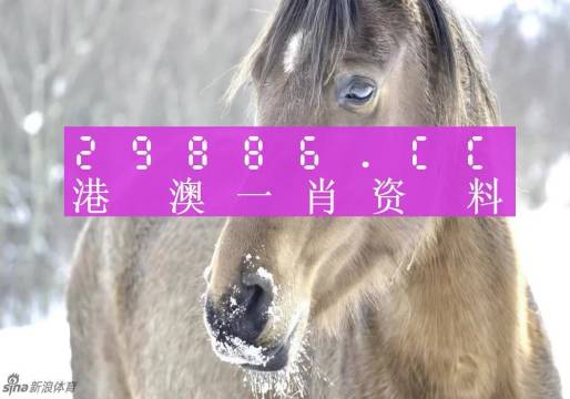 澳門一肖一碼100準(zhǔn)免費，揭示背后的真相與風(fēng)險