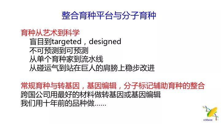 澳門正版免費服務(wù)與顧問釋義解釋落實，未來的趨勢與挑戰(zhàn)