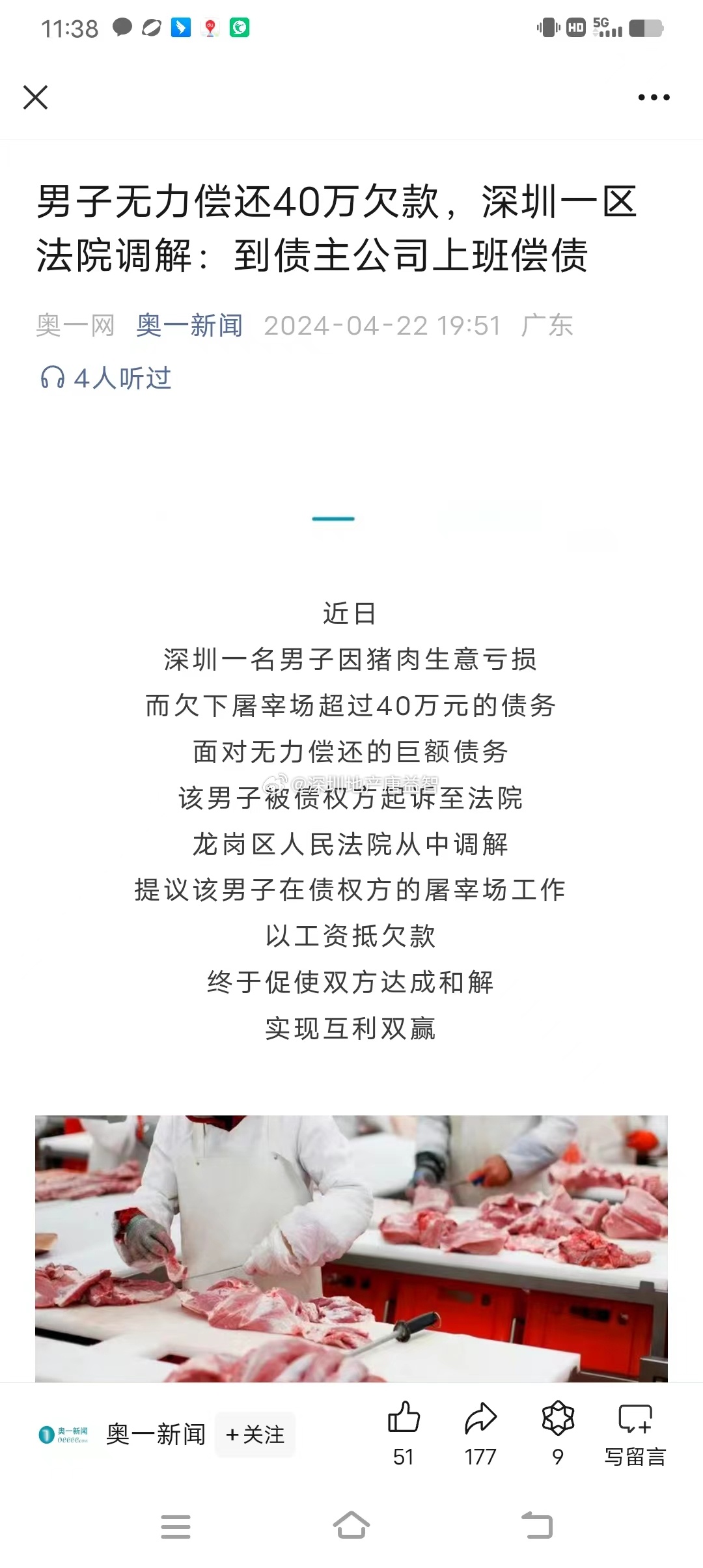 一肖一碼一一肖一子在深圳，瞬時釋義、解釋與落實