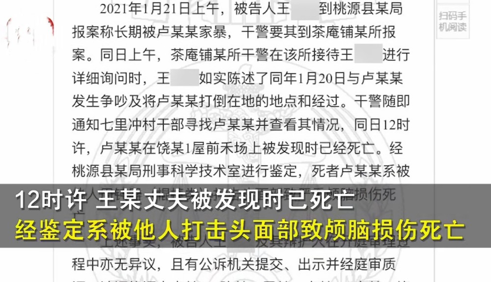澳門正版精準免費大全，揭示犯罪與合法之間的界限